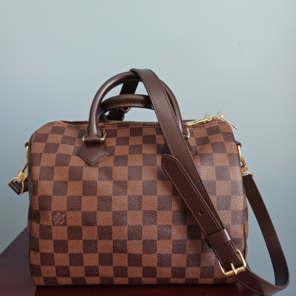 Louis Vuitton Speedy 25 Damier Ebene